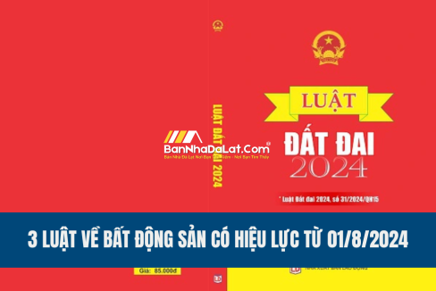 03-luat-ve-bat-dong-san-co-hieu-luc-tu-01-8-2024