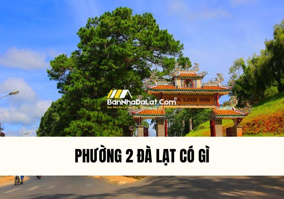 phuong-2-da-lat-co-gi-thong-tin-chi-tiet