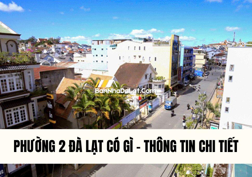 phuong-2-da-lat-co-gi-thong-tin-chi-tiet