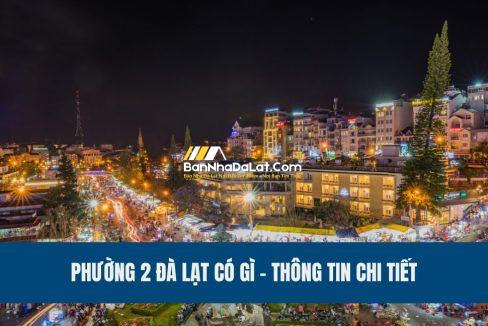 phuong-2-da-lat-co-gi-thong-tin-chi-tiet