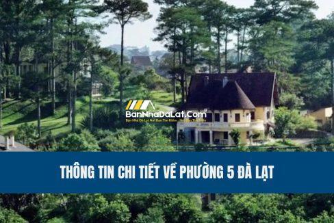 phuong-5-da-lat-co-gi-thong-tin-chi-tiet