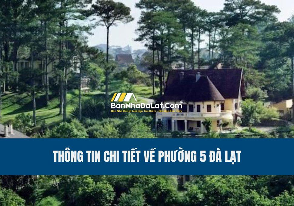 phuong-5-da-lat-co-gi-thong-tin-chi-tiet