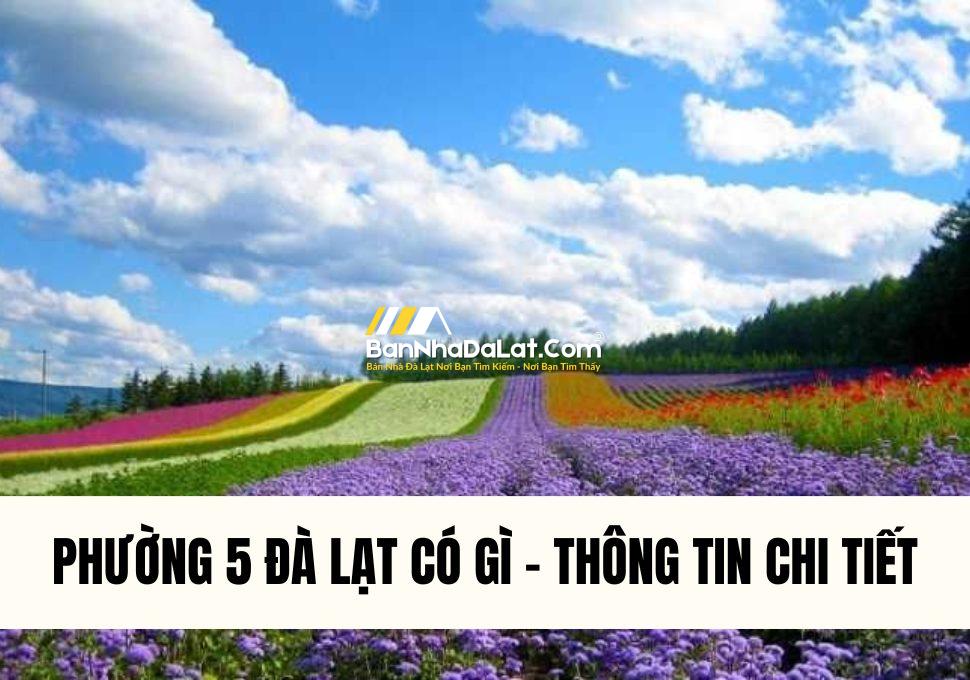 phuong-5-da-lat-co-gi-thong-tin-chi-tiet