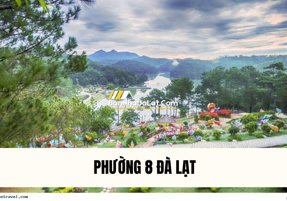 phuong-8-da-lat-co-gi-thong-tin-chi-tiet