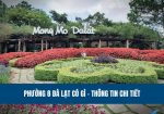 phuong-8-da-lat-co-gi-thong-tin-chi-tiet