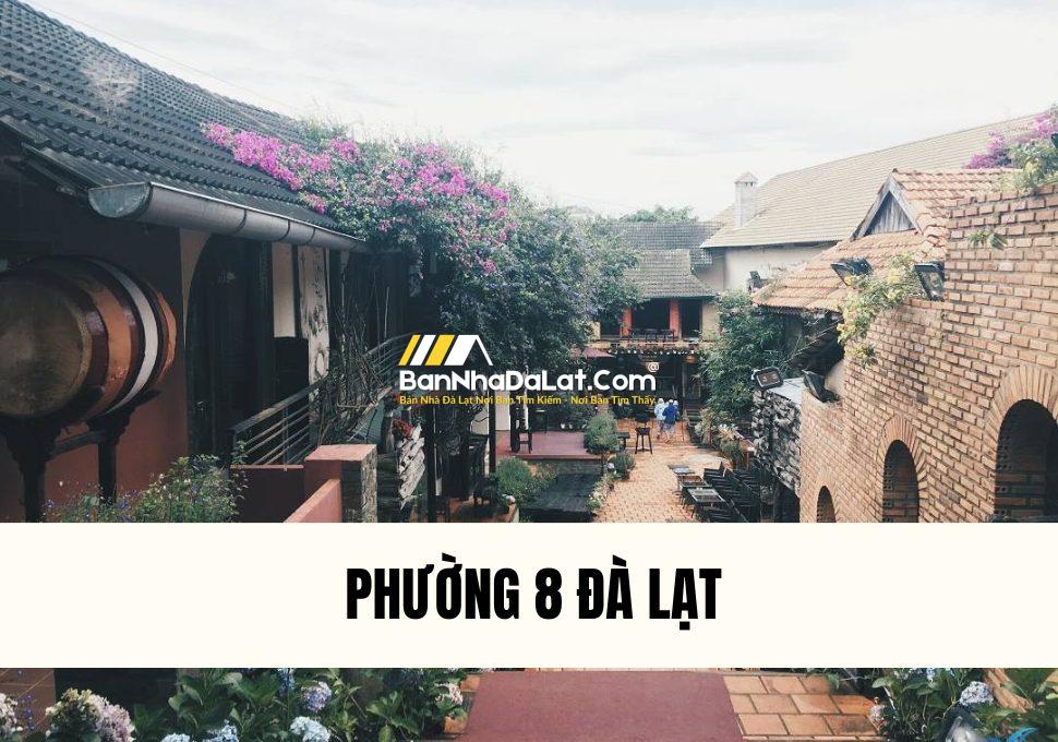 phuong-8-da-lat-co-gi-thong-tin-chi-tiet