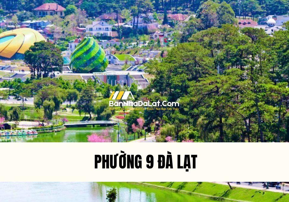 phuong-9-da-lat-co-gi-thong-tin-chi-tiet