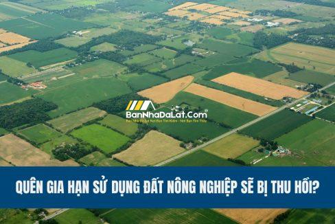 quen-gia-han-su-dung-dat-nong-nghiep-se-bi-thu-hoi