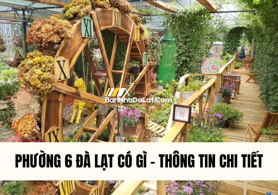 review-phuong-6-da-lat-thong-tin-chi-tiet