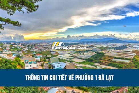 thong-tin-chi-tiet-ve-phuong-1-da-lat