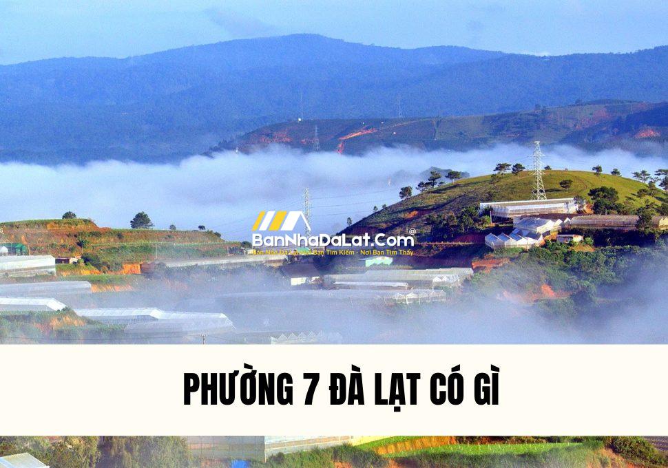 thong-tin-chi-tiet-ve-phuong-7-da-lat