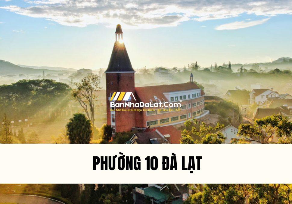 phuong-10-da-lat-co-gi-thong-tin-chi-tiet