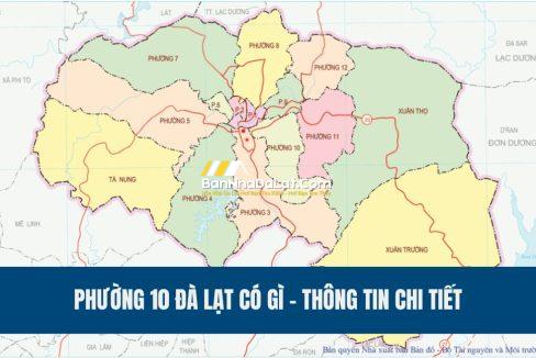 phuong-10-da-lat-co-gi-thong-tin-chi-tiet