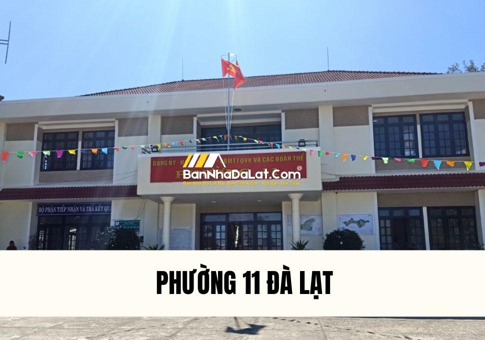 phuong-11-da-lat-co-gi-review-phuong-11-da-lat