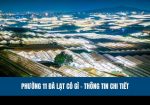 phuong-11-da-lat-co-gi-review-phuong-11-da-lat