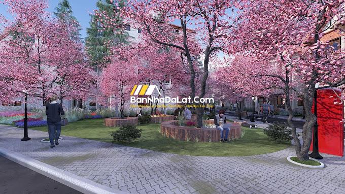 Giá biệt thự La Cerise Dalat Villas (3)