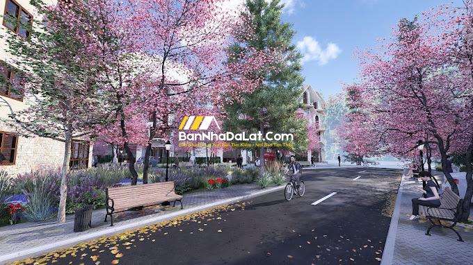 Giá biệt thự La Cerise Dalat Villas (6)