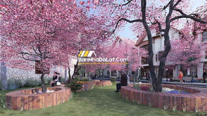 Giá biệt thự La Cerise Dalat Villas (7)