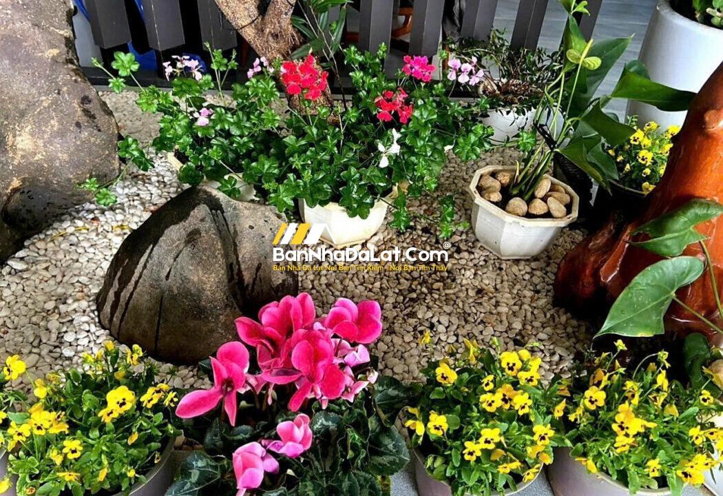 Bán Villa Đà Lạt Giá Rẻ (6)