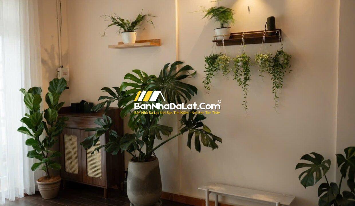 495535921_10230372526683222_2019125105238894407_n