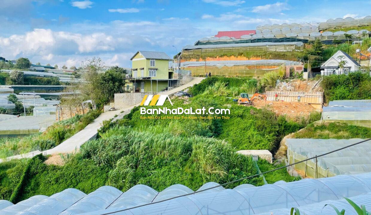Bán Đất đường Huỳnh Tấn Phát Phường Xuân Trường Đà Lạt (1)