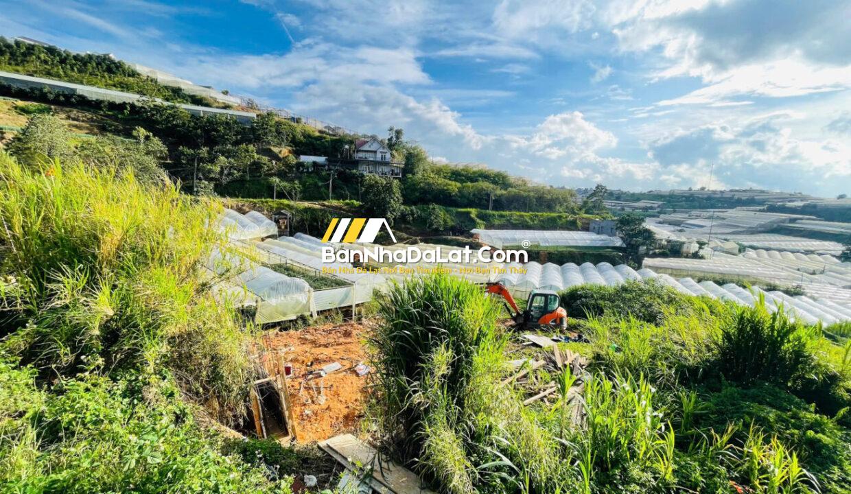 Bán Đất đường Huỳnh Tấn Phát Phường Xuân Trường Đà Lạt (2)