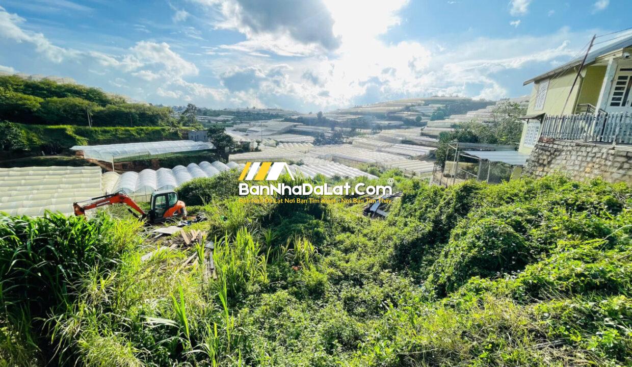 Bán Đất đường Huỳnh Tấn Phát Phường Xuân Trường Đà Lạt (4)