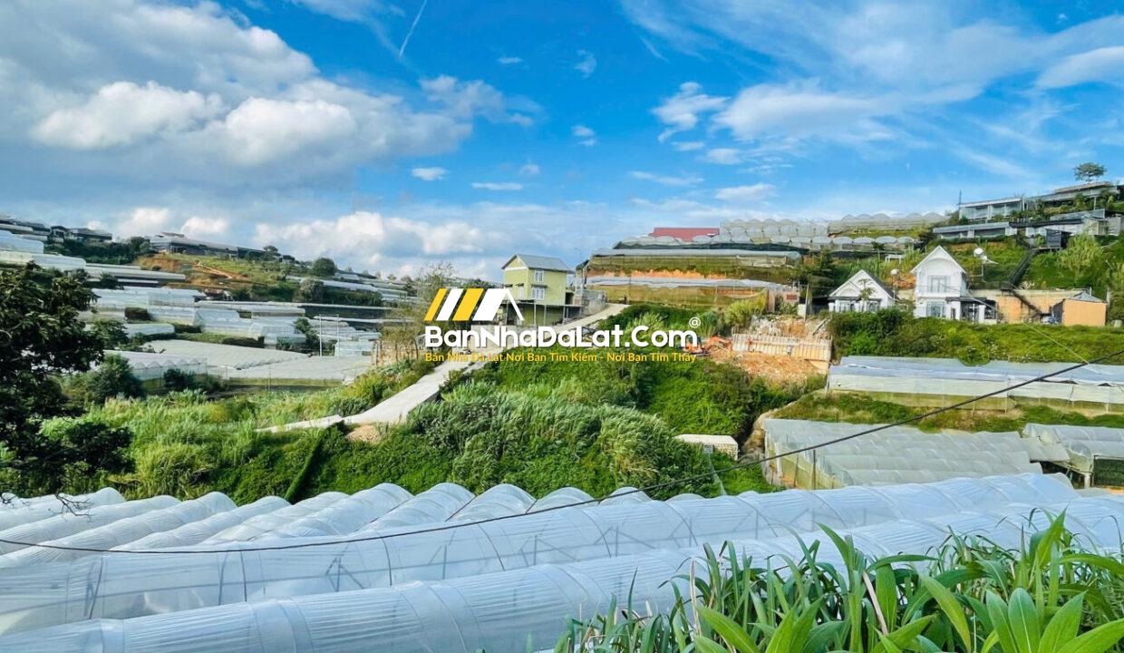 Bán Đất đường Huỳnh Tấn Phát Phường Xuân Trường Đà Lạt (5)