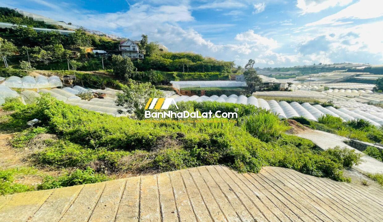 Bán Đất đường Huỳnh Tấn Phát Phường Xuân Trường Đà Lạt (7)