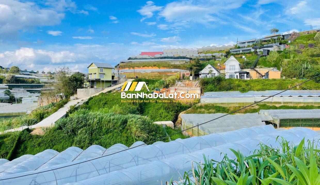Bán Đất đường Huỳnh Tấn Phát Phường Xuân Trường Đà Lạt (8)