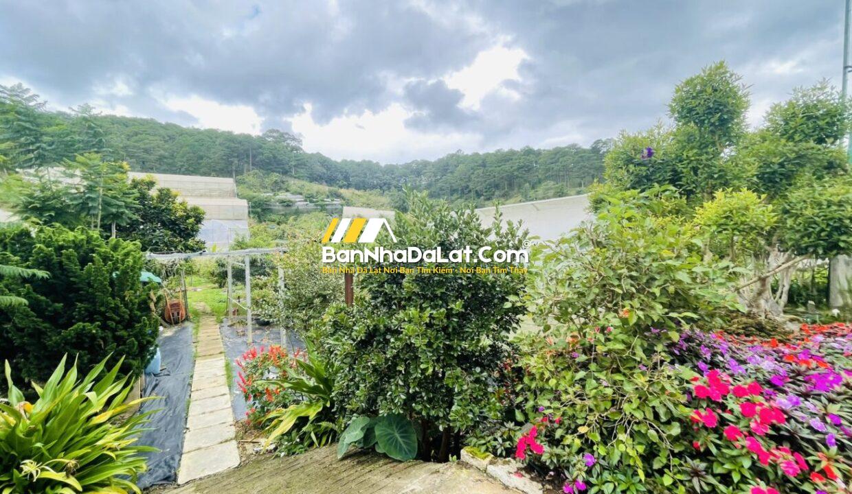 Bán Villa Triệu Việt Vương Đà Lạt (3)