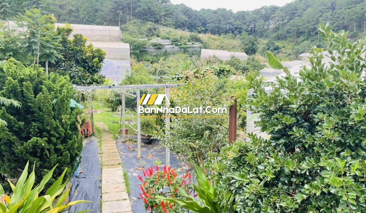 Bán Villa Triệu Việt Vương Đà Lạt (8)