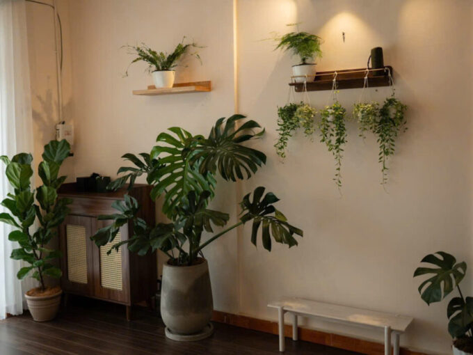 ✨🏡✨ CẦN BÁN NHÀ PHỐ MẶT TIỀN ĐƯỜNG NGÔ QUYỀN – P.6, ĐÀ LẠT