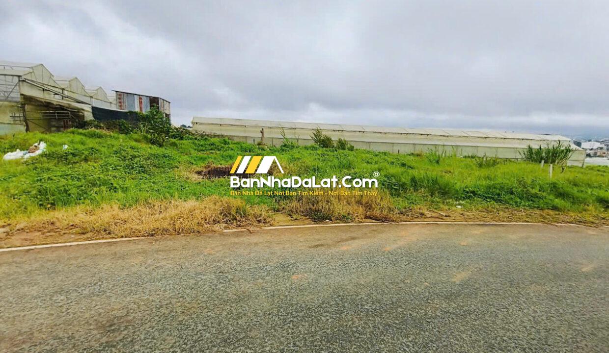 z6849626440334_ff4ec4b285296f1155d3d2e6190161a6