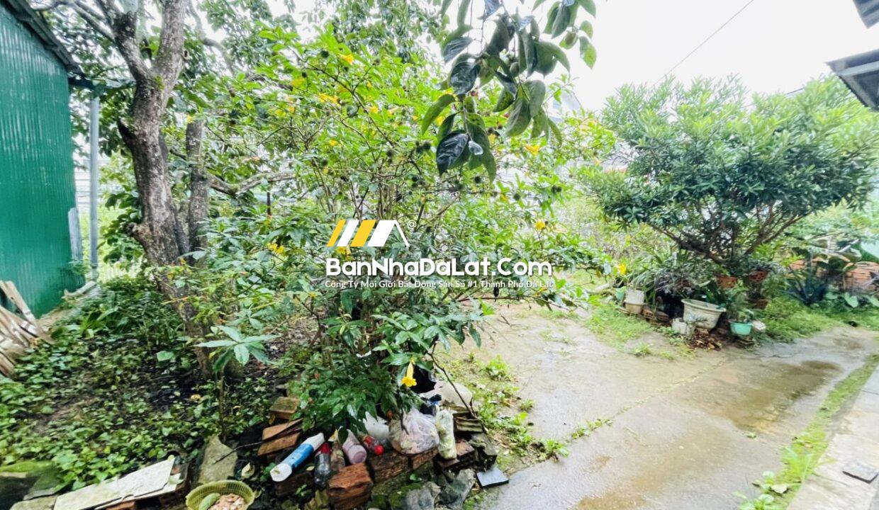 BÁN ĐẤT MẶT TIỀN ĐƯỜNG AN BÌNH (4)