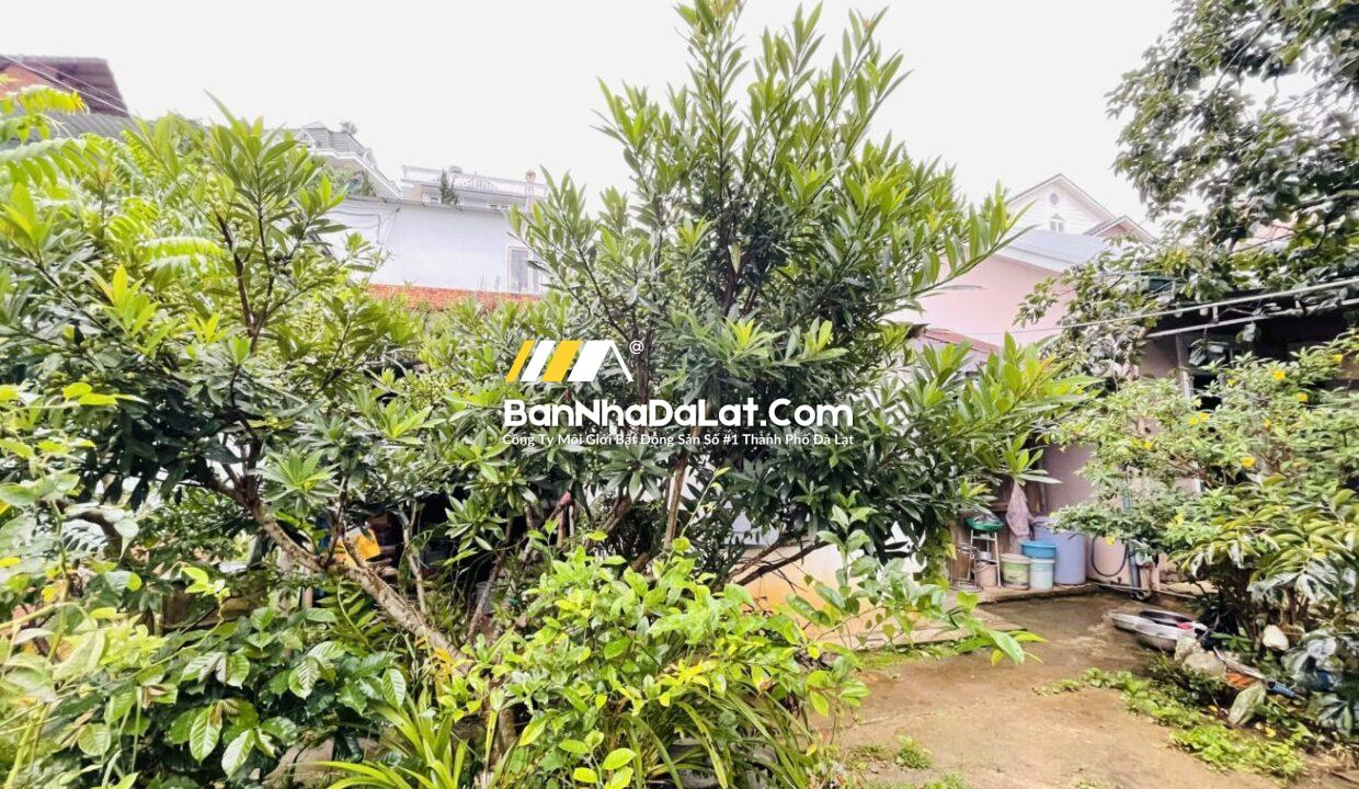 BÁN ĐẤT MẶT TIỀN ĐƯỜNG AN BÌNH (5)