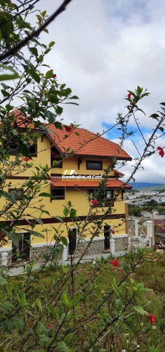 Ban-dinh-thu-nam-ho-da-lat-11133966759233614406