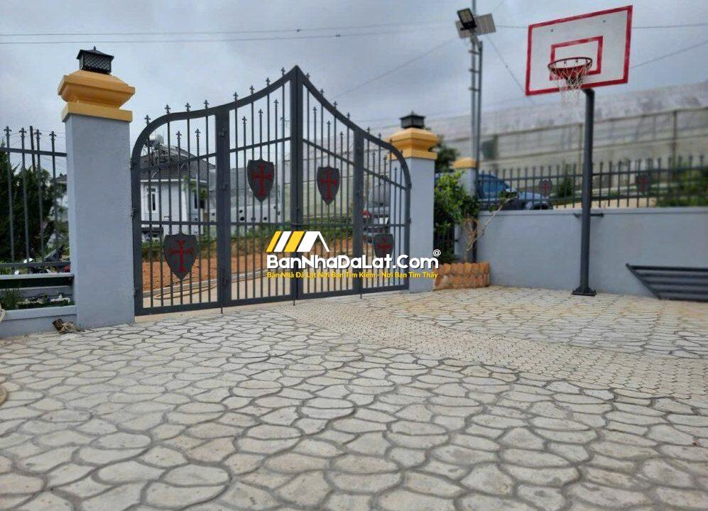 Ban-dinh-thu-nam-ho-da-lat-5133966759240253063
