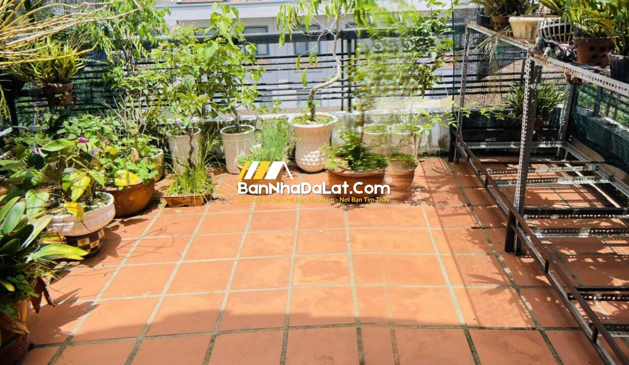 Cho thuê nhà đường thông thiên học Đà Lạt (12)