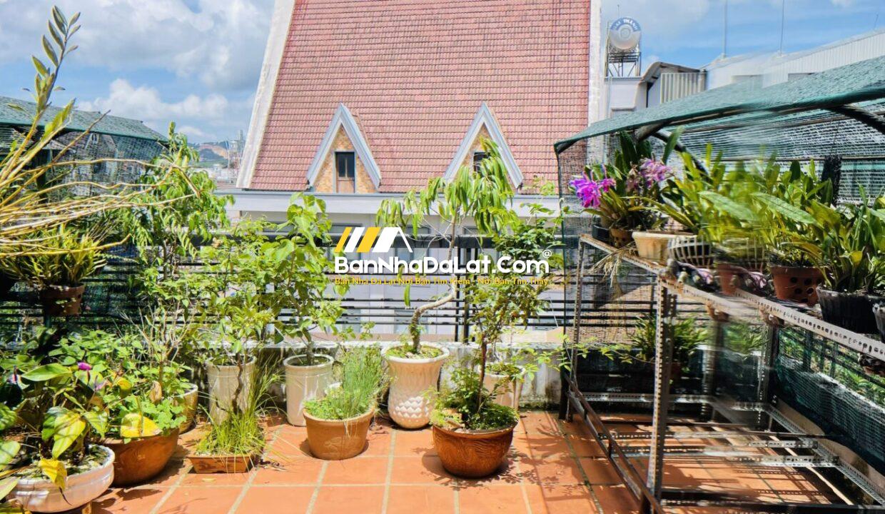 Cho thuê nhà đường thông thiên học Đà Lạt (13)