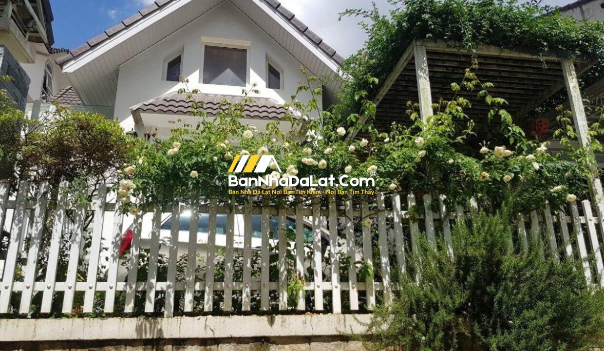 Villa Hùng Vương - 11 Tỷ  (1)