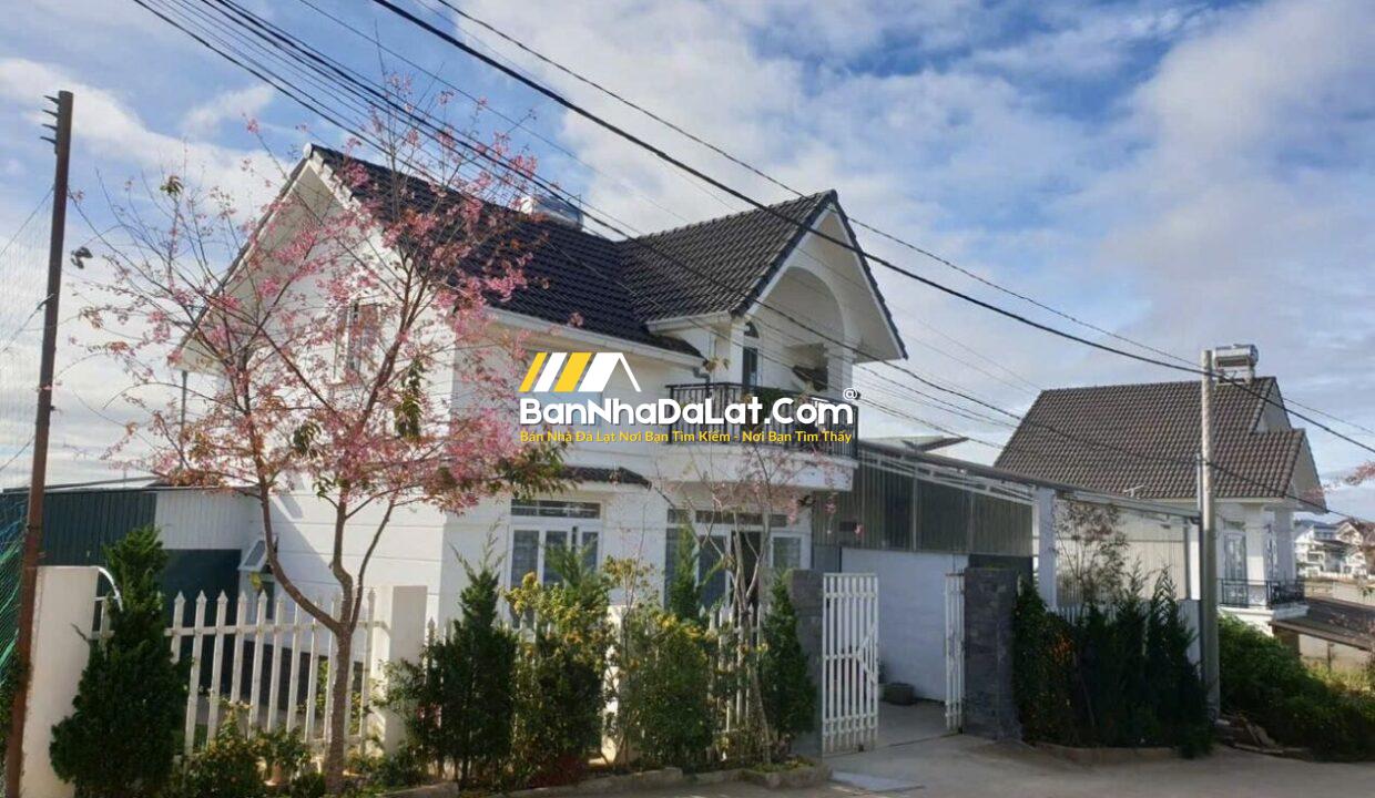 Z6705061813871_007_9789c7e2c2a7564b75471c21c7ab2f93133945357776703375