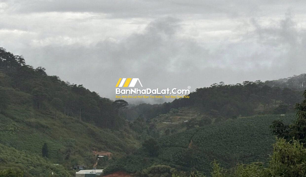 Z6874416254125_eacc72543778edde28234b794677bbab133988328048705717