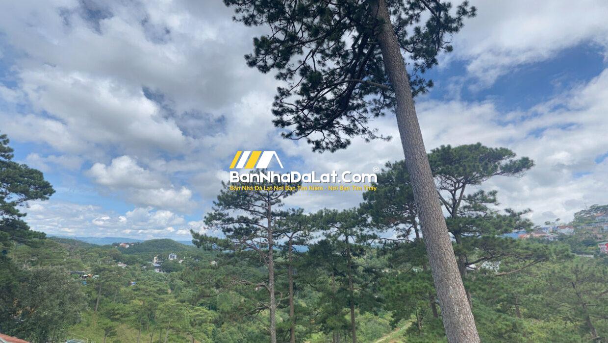 screenshot_1755158273