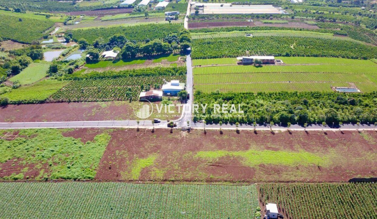 Bán Đất Nền Lâm Hà Đà Lạt (3)