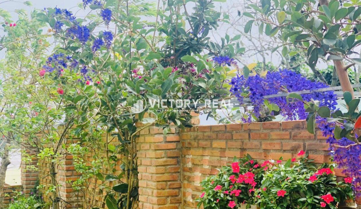 Bán Villa Đà Lạt (23)