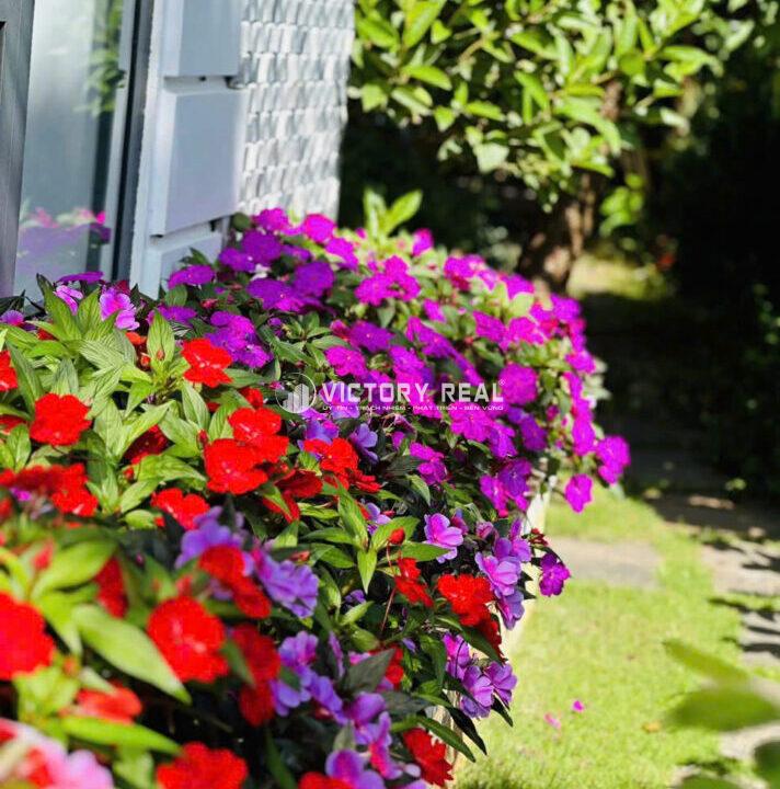 Bán Villa Đà Lạt (25)