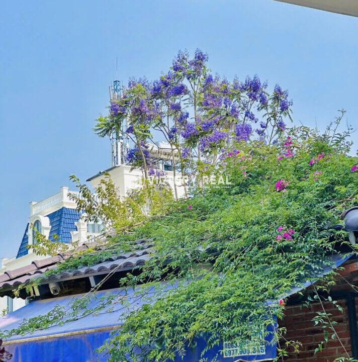 Bán Villa Đà Lạt (26)