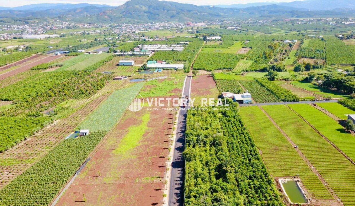 Bán đất đinh văn Lâm Hà Đà Lạt (1)