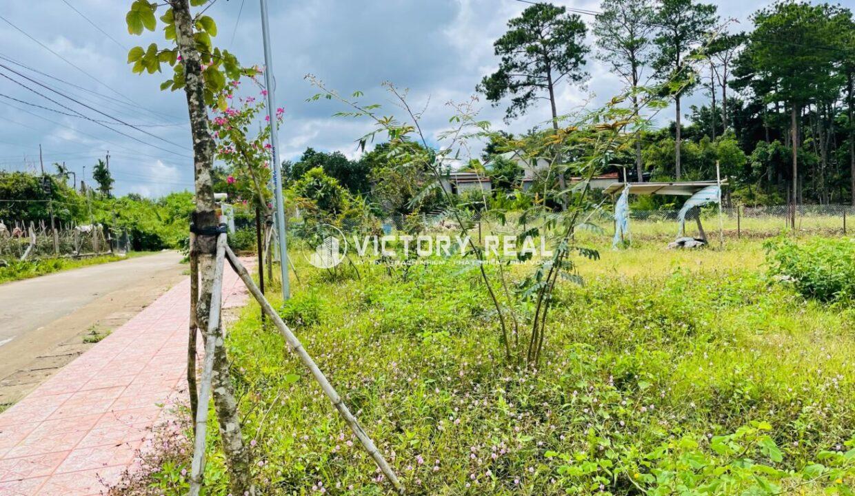 Bán đất đinh văn Lâm Hà Đà Lạt (5)